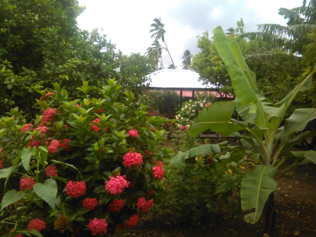 Hostal La Cascada San Ramon Mérida Exterior photo